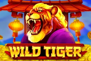 Wild Tiger demo-gokkast van BGaming